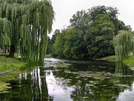 Foto Rijsterborgherpark in Deventer, Zien, Buurt, plein, park