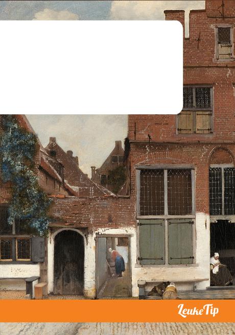 Delft gids in voetsporen Vermeer kunstschilder historie